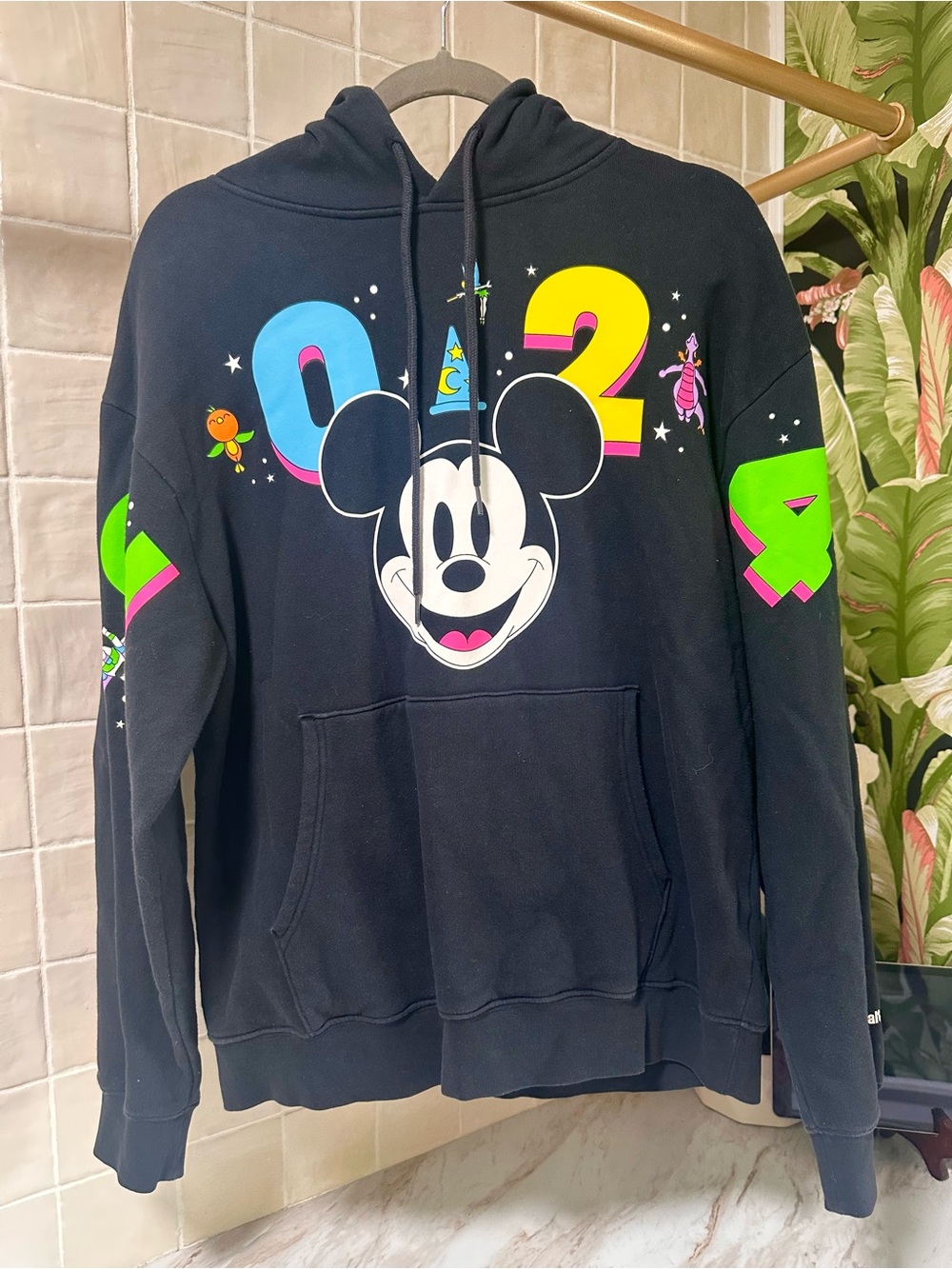 Disney Parks 2024 pullover hoodie
